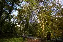 IMG_3366.webp