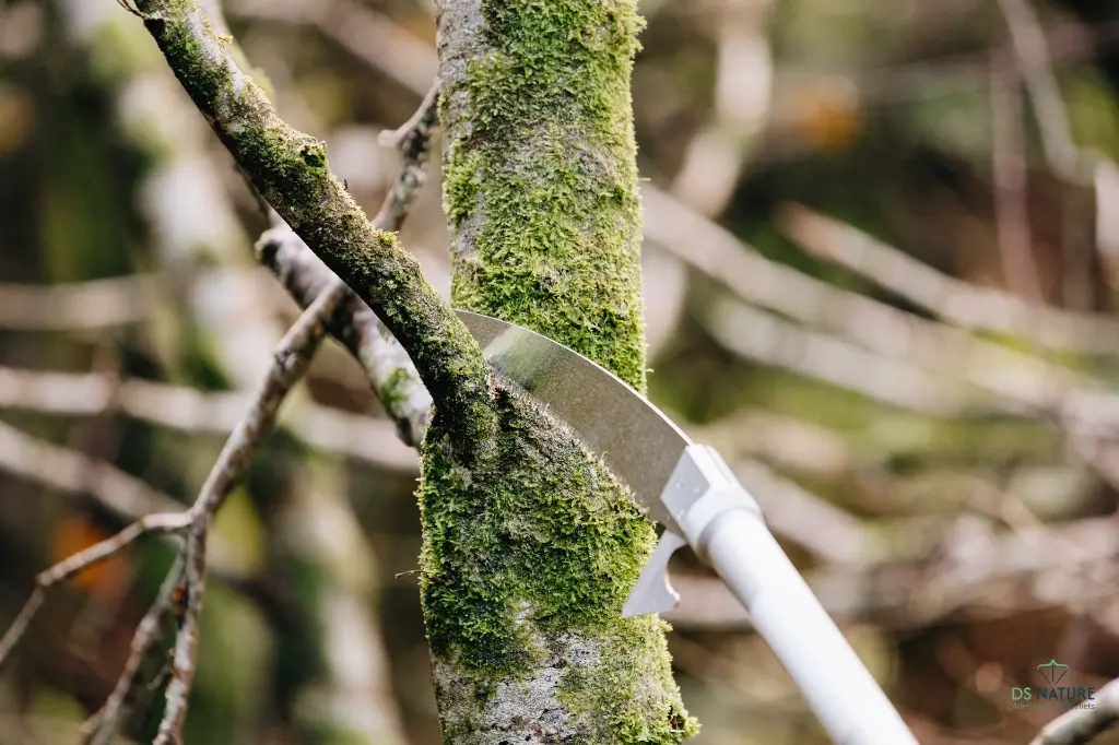 Lame ARS UV32 sur perche de pénétration DS Nature.webp