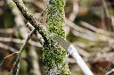 IMG_3432.webp