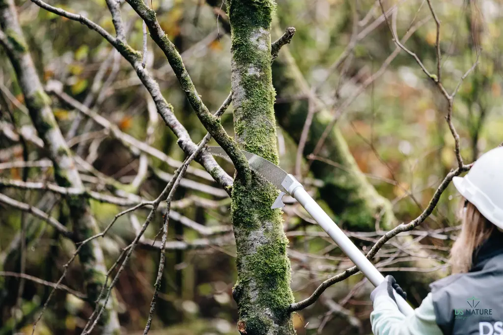 Perche de pénétration DS Nature en action 2.webp.webp