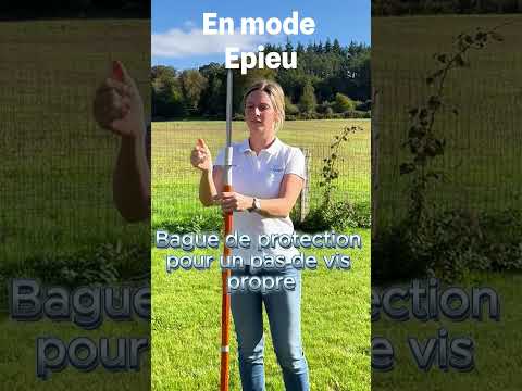 youtube - [Video]