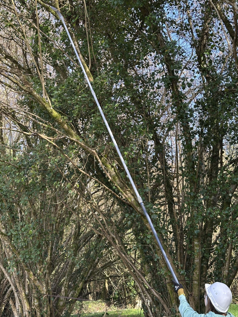 Perche télescopique 3 tubes 1m95 à 4m80