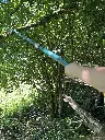 Vue perche télescopique compacte dans l'arbre.webp