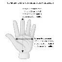 secateur-ars-serie-vs-xz-disponible-dans-les-tailles-s-m-ou-l (2).webp