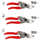 secateur-ars-serie-vs-xz-disponible-dans-les-tailles-s-m-ou-l (1).webp