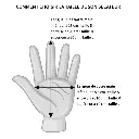 secateur-ars-vs-serie-xr (3).webp
