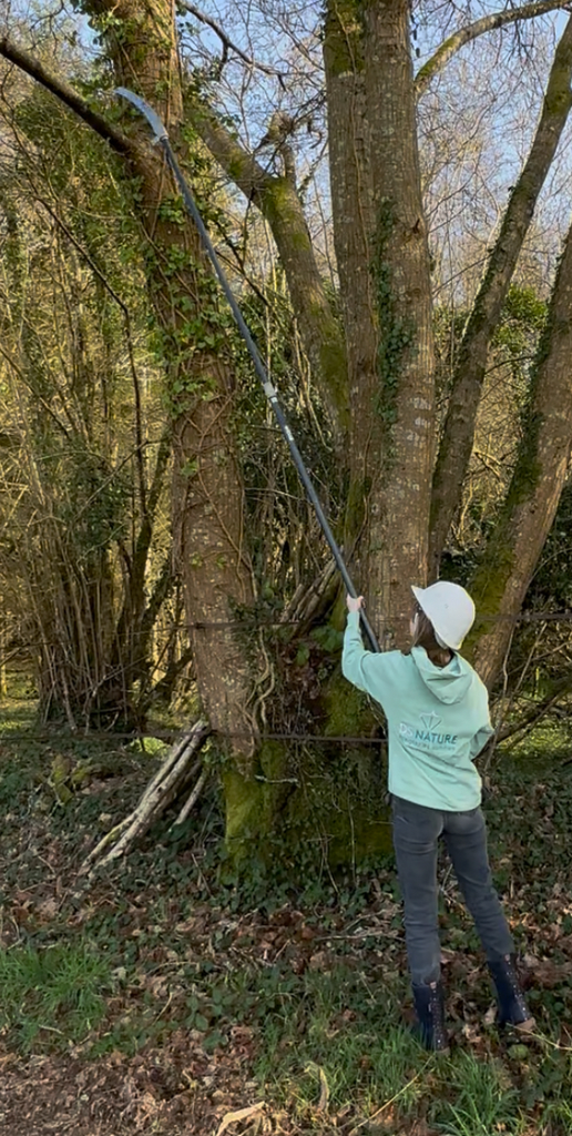 Perche télescopique 2 tubes