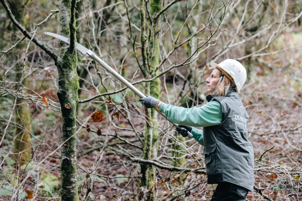 Perche pour élagage de pénétration 90cm