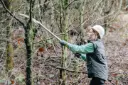 Perche pour élagage de pénétration 90cm